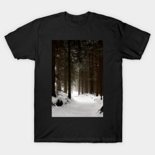 Snow Vortex T-Shirt